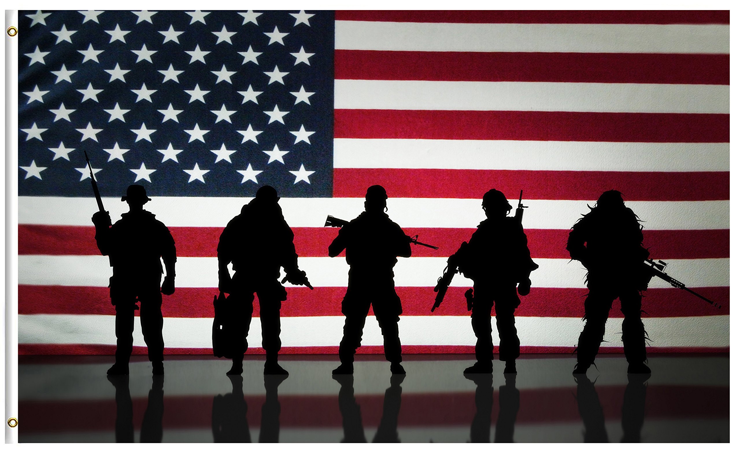 3 important facts about veterans day